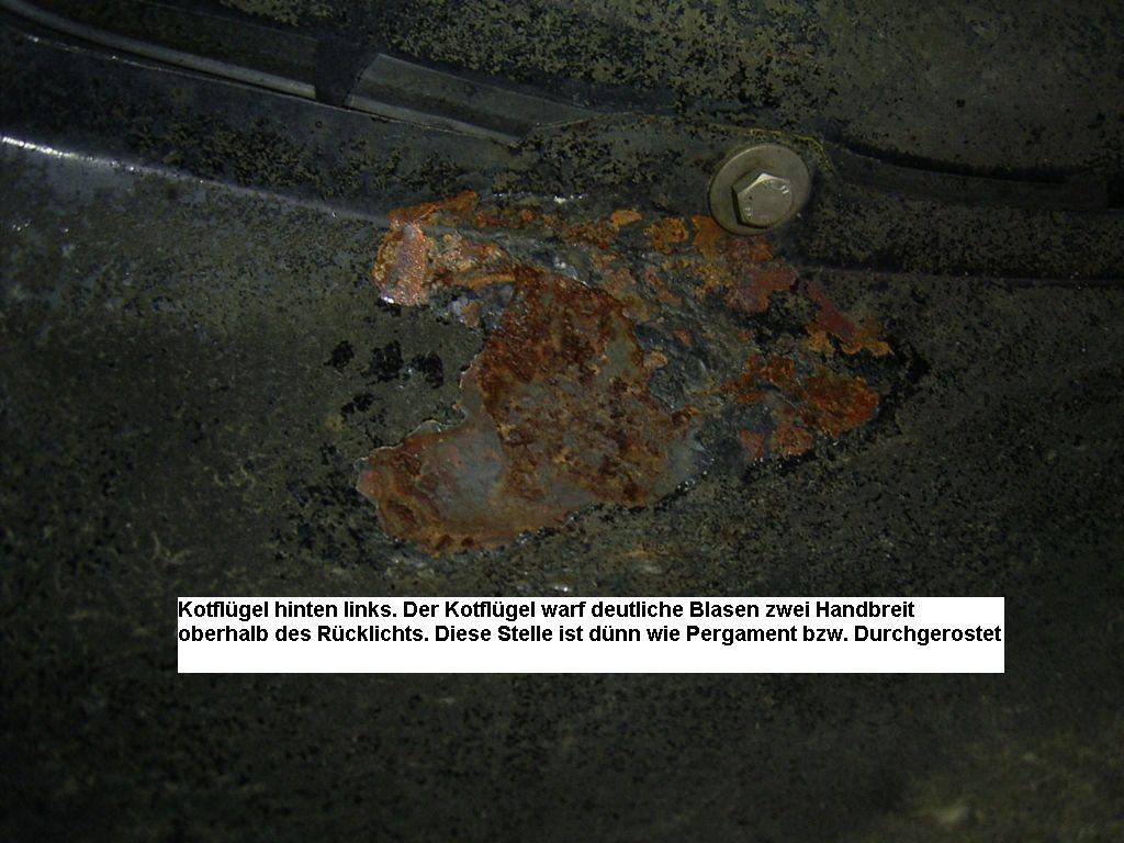 ../Images/6-Rost-Kotfl-1-durch.jpg
