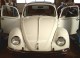 Thumbs/tn_M4104459.jpg